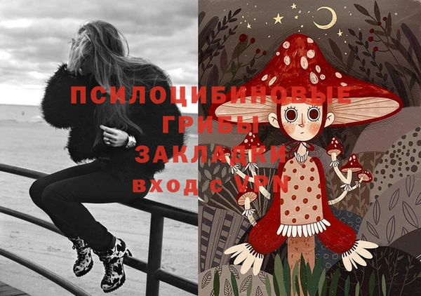 apvp Мегион