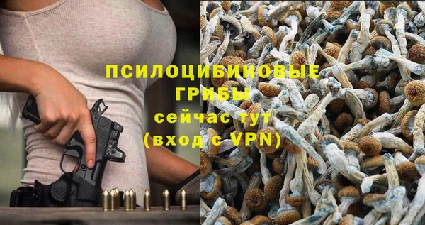 стафф Михайловка
