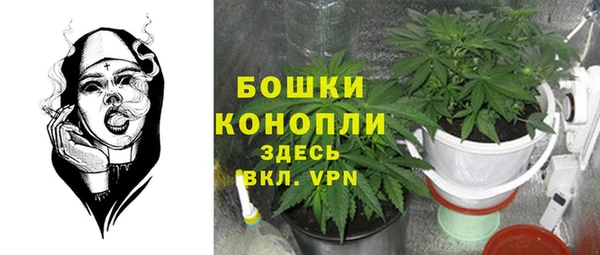 apvp Мегион