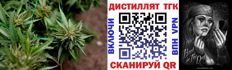 где найти   Кирс  Дистиллят ТГК Wax 